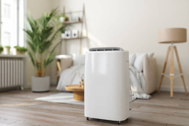 Best Affordable HVAC services  in Nogales, AZ